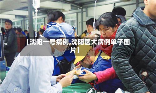 【沈阳一号病例,沈阳医大病例单子图片】-第1张图片